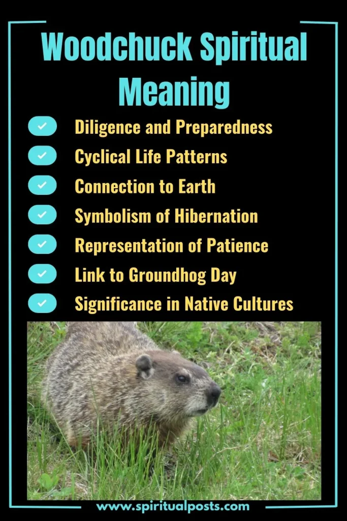 spiritual-meaning-of-woodchuck-and-its-symbolism