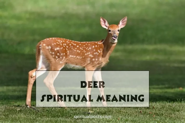 deer-spiritual-meaning-and-symbolism