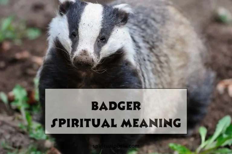 what-does-a-badger-symbolize-spiritually