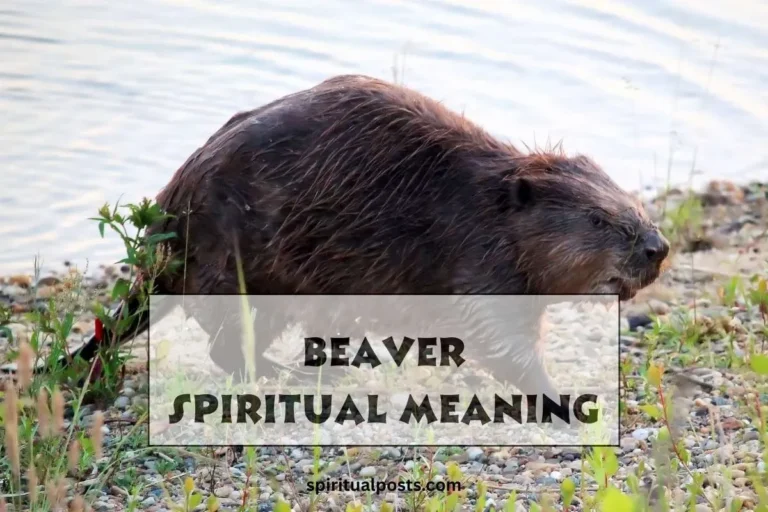 what-does-a-beaver-represent-spiritually