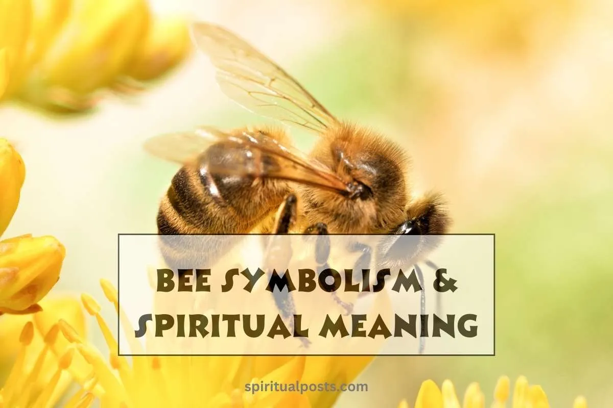 what-does-bee-represent-spiritually