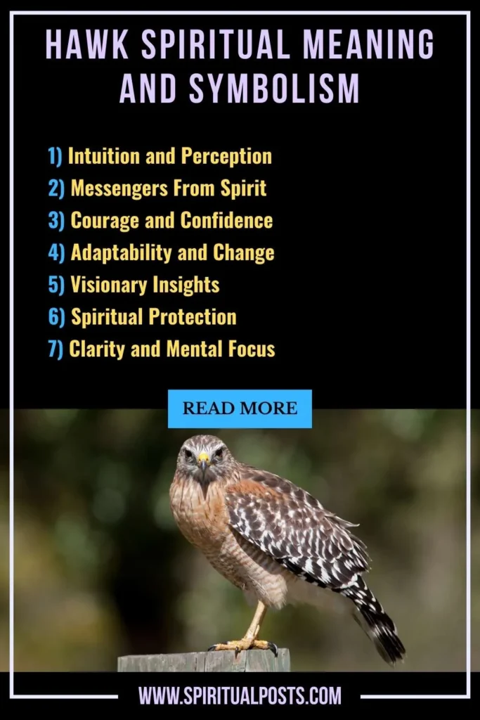 spiritual-meaning-of-hawk-symbolism-significance