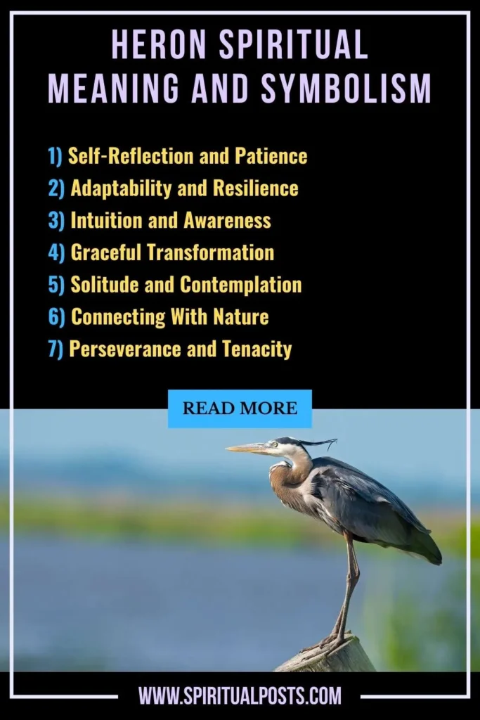 spiritual-meaning-of-heron-symbolism-significance